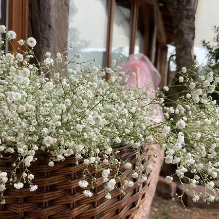 El Rincon De Golobar En Branosera