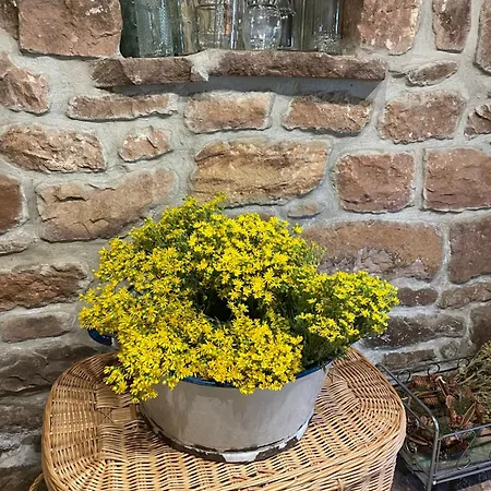 El Rincon De Golobar En