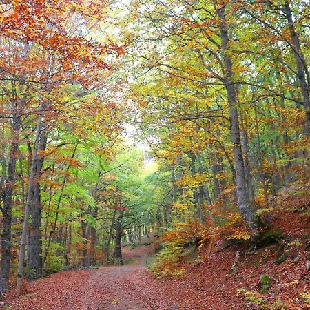 El Rincon De Golobar En * Branosera