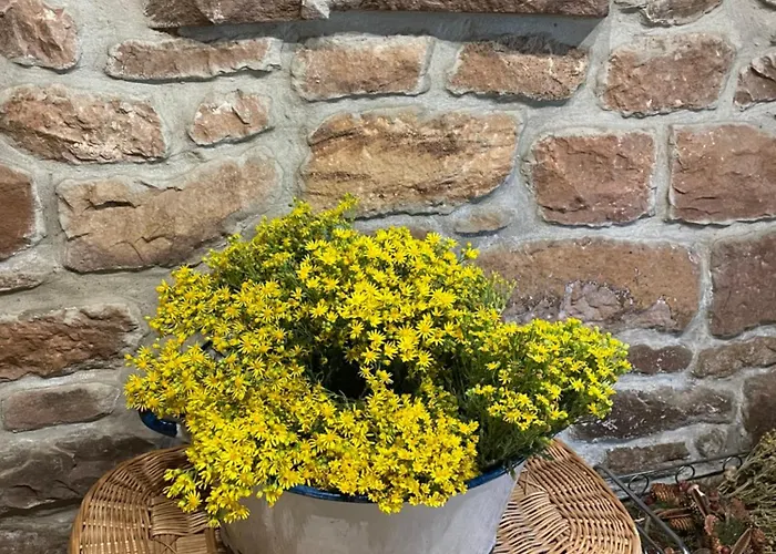 El Rincon De Golobar En