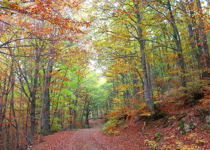 El Rincon De Golobar En * Brañosera